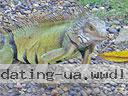 cartagena-women-other-1104-9